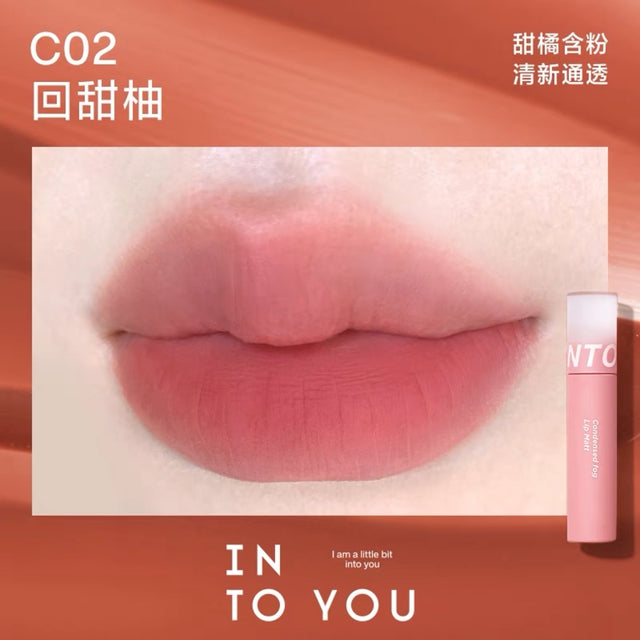 INTO YOU INTO YOU Condensed Fog Matte Liquid Lipstick C02