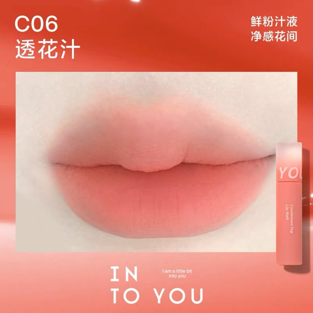 INTO YOU INTO YOU Condensed Fog Matte Liquid Lipstick C06