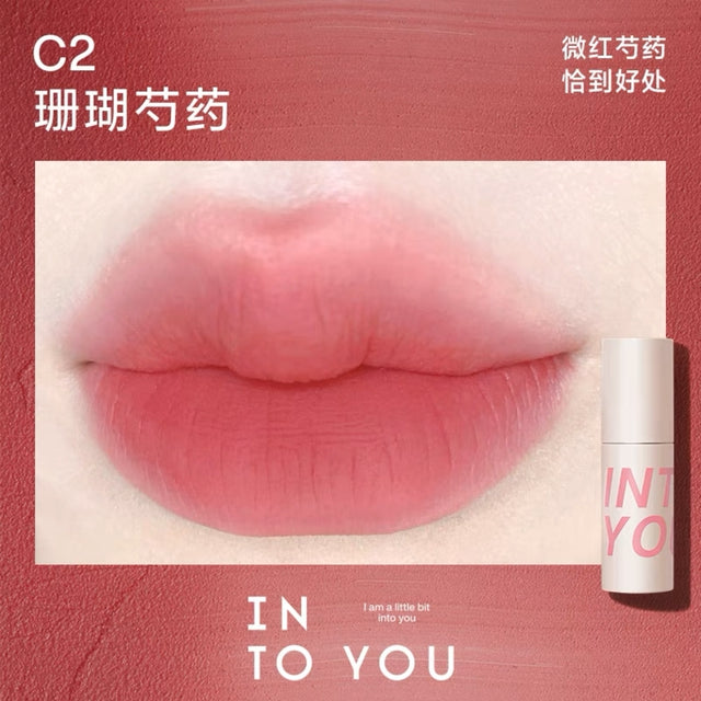 INTO YOU INTO YOU Airy Lip & Cheek Mud C2