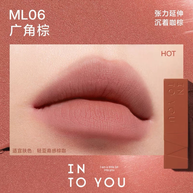 INTO YOU INTO YOU Velvet Matte Lipstick ML06