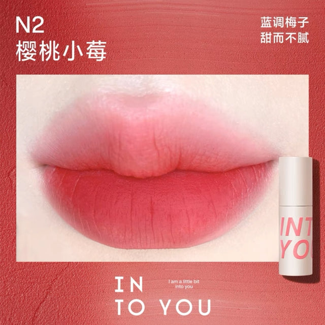 INTO YOU INTO YOU Airy Lip & Cheek Mud N2