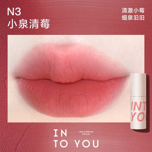 INTO YOU INTO YOU Airy Lip & Cheek Mud N3