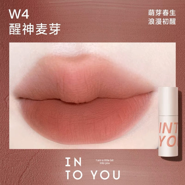 INTO YOU INTO YOU Airy Lip & Cheek Mud W4