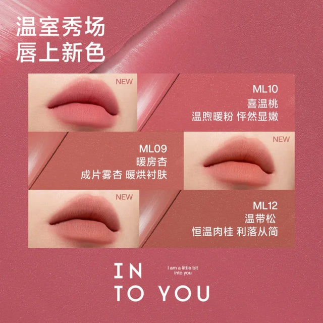INTO YOU INTO YOU Velvet Matte Lipstick